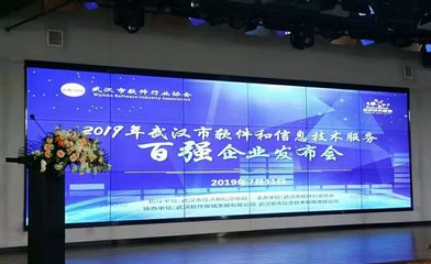 达梦数据库荣获“2019武汉市软件百强企业”称号，彰显武汉科技硬实力