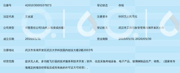 武汉智能鸟无人机 武汉科技自主创新的空中名片